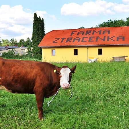 Farma Ztracenka Hotel Porici nad Sazavou Ngoại thất bức ảnh