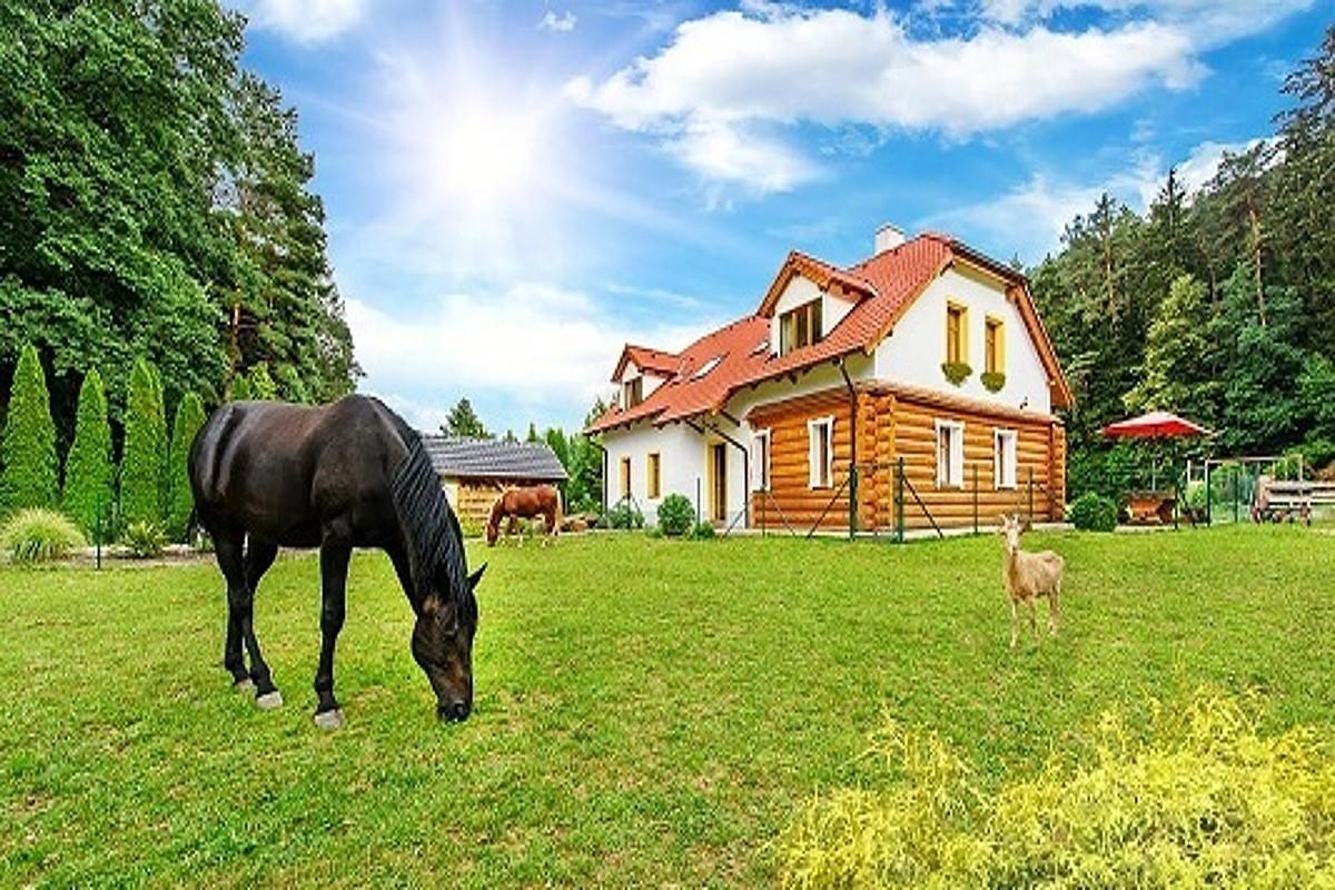 Farma Ztracenka Hotel Porici nad Sazavou Ngoại thất bức ảnh